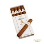 Davidoff Winston Churchill- Robusto