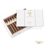 Davidoff Winston Churchill- Petit Corona