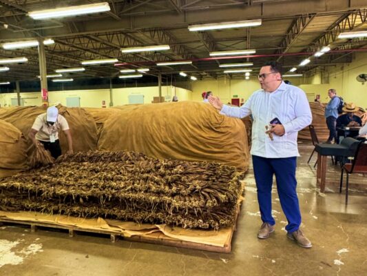 Tobacco Fermentation