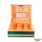 Elie Bleu New Fruit Humidor- Green for "75" Cigars - Image 2